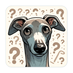 Stickers of Italian greyhounds