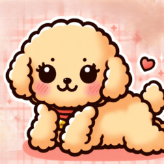 Fluffy Poodle Diaries