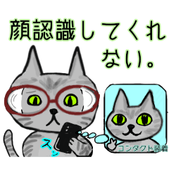 makif_nearsightedness_cat_Gray