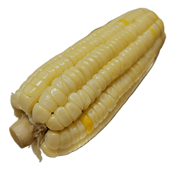 食物系列 : 一些玉米 #18