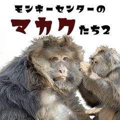 Macaques at Japan Monkey Centre2