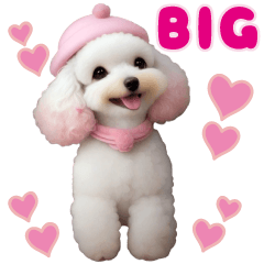 cute toy poodle big Sticker5 by keimaru