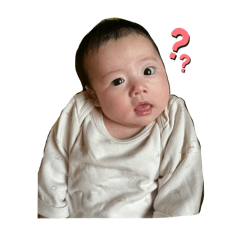 meito_20240419122049