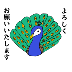 peacock 2024