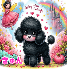 Fairytale-like Black Poodle's Daily Life