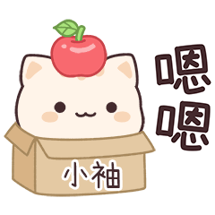 Star_Cat2_03119_SIAO SIOU