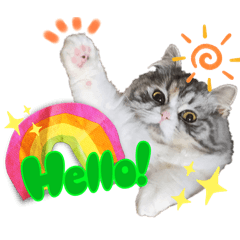 Show off your cat's cuteness sticker