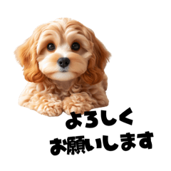 Cavapoo stamps