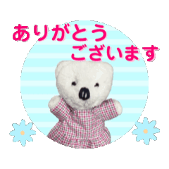 polar bear SHIROchan -animation-