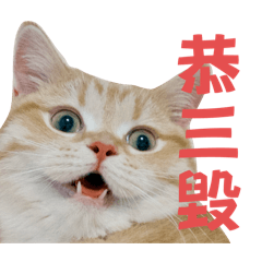 暴躁の蛋