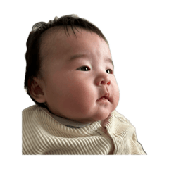 rabbit_pop_20240420203811