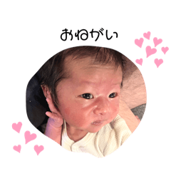 rui_20240420113920