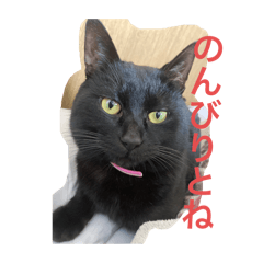 rukina_20240420185431