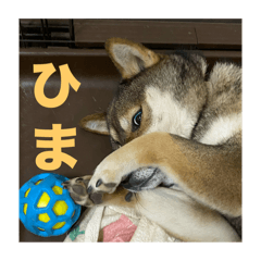 rui_20240420082700