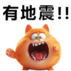 Chou Chou Cat-2