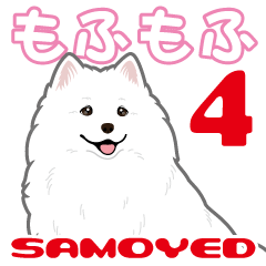 Mofumofu! Samoyed 4