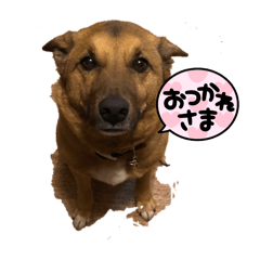 kiyomori_20240420001255