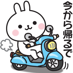 Kansai dialect rabbit contact 4