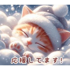 茶白の可愛い猫:日本語