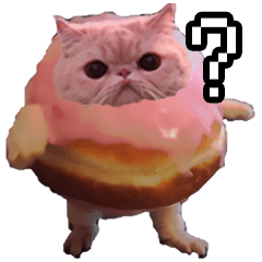 Cat meme [Doughnut Cat]