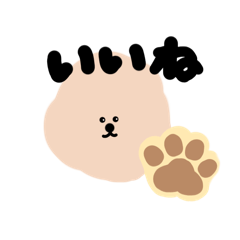 Bichon Frise & Bichon Poodle