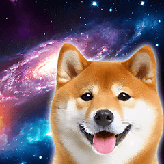 Space Shiba Inu.without text Version