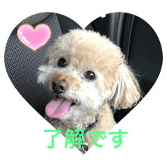 MICHIKO_20240420233626