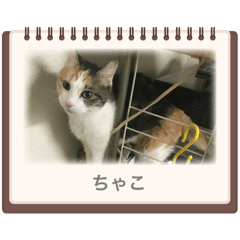 yuka_20240420225101