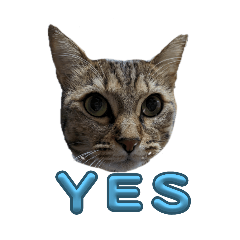 mekochan1111