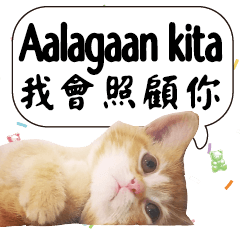 貓咪 菲律賓 他加祿語Philippines Tagalog2