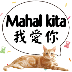 貓咪 菲律賓 他加祿語Philippines Tagalog4