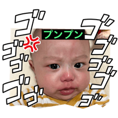 Yayoi_20240421122636