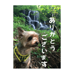 yamazaki_20240421184916