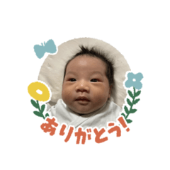 penguin_20240421201209