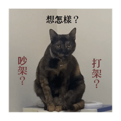惦 – LINE貼圖 | LINE STORE