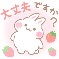 Mofukoro Rabbit3(white)