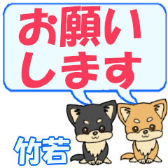 Takewaka's letters Chihuahua2