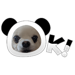 minhon_20240421215317