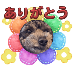 akimero_20240422090918