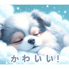 Adorable Grey & White Pups:Japanese