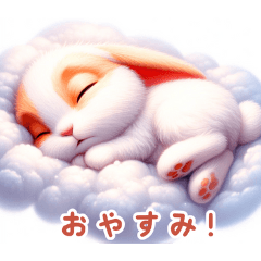 オレンジ&ホワイトのかわいいウサギ：日本