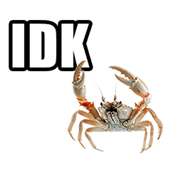 Crab phrases in English