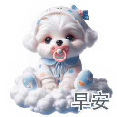 Top 40 pictures of Maltese puppies-2