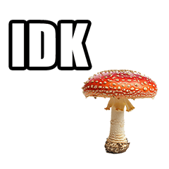 Poisonous mushroom phrases in English