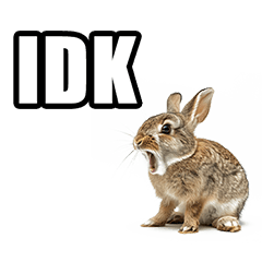 Rabbit phrases in English