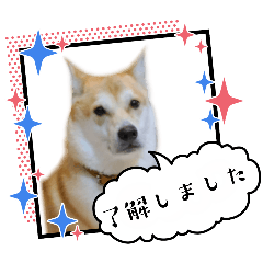 かい☆りく☆ラッキー