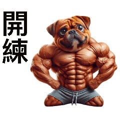 Fa Dou Da Muscle (Fitness Chapter)