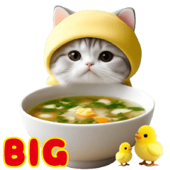 スコティッシュ 猫とヒヨコと食べ物 BIG