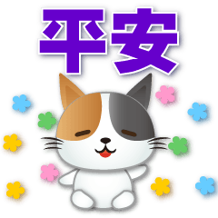 Cute Calico cat-- practical every day