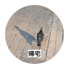 Daily_20240422214842